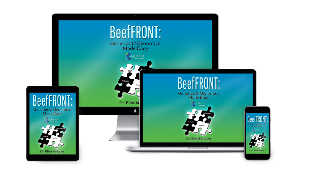 BeefFRONT BeefFRONT