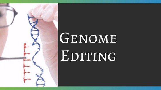 Genome Editing