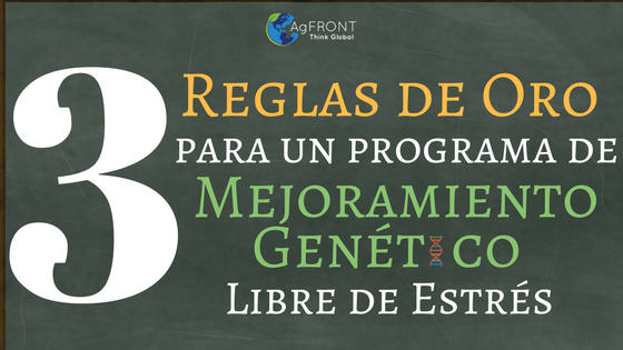 3 Reglas de Oro para um programa de Mejoramiento Genetico Libre de Estres